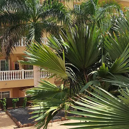 Casa Vera