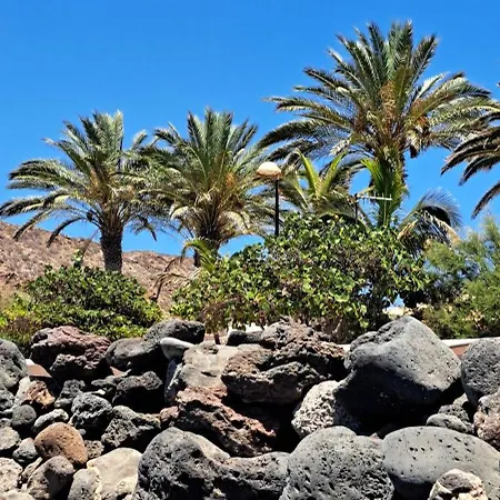 Appartement Casa Vera Palm-mar