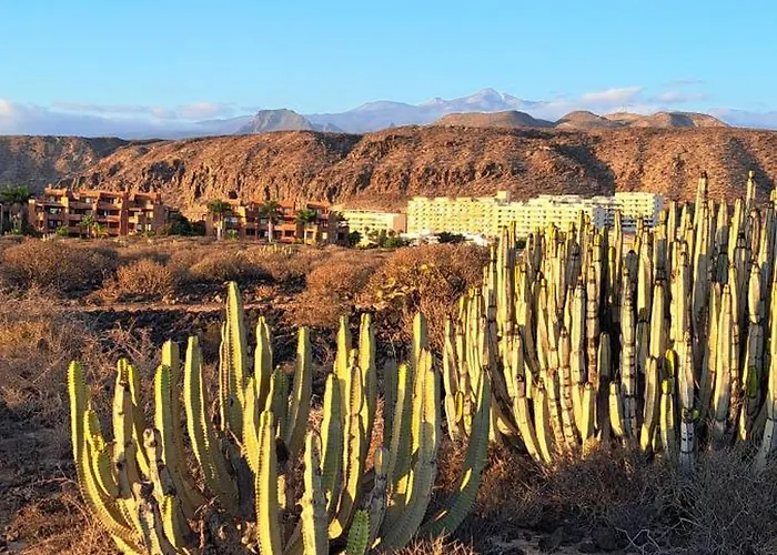 Casa Vera شقة بالم مار